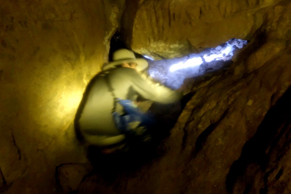 aa8a8e62cf1538992a7dcb3ab44caadb_1525304