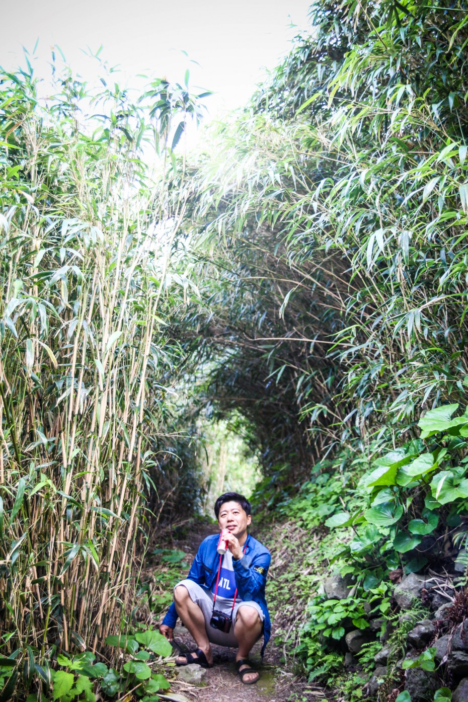 3fbf8bf0810ece9da66e05c4d756cb51_1528682