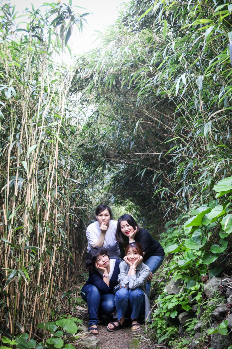 3fbf8bf0810ece9da66e05c4d756cb51_1528682