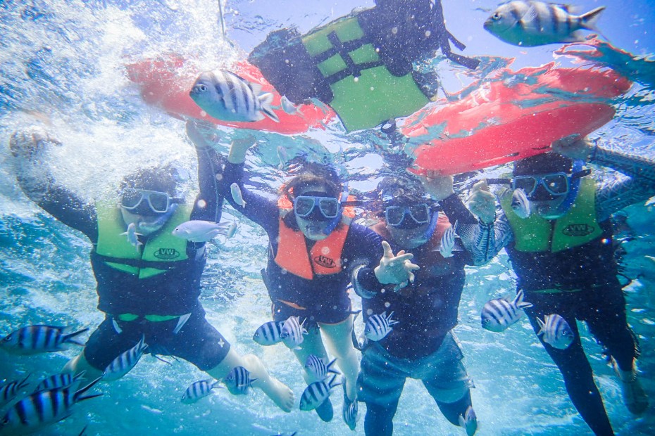 8370f699882d6a9f9486fb898fe229b4_1557285