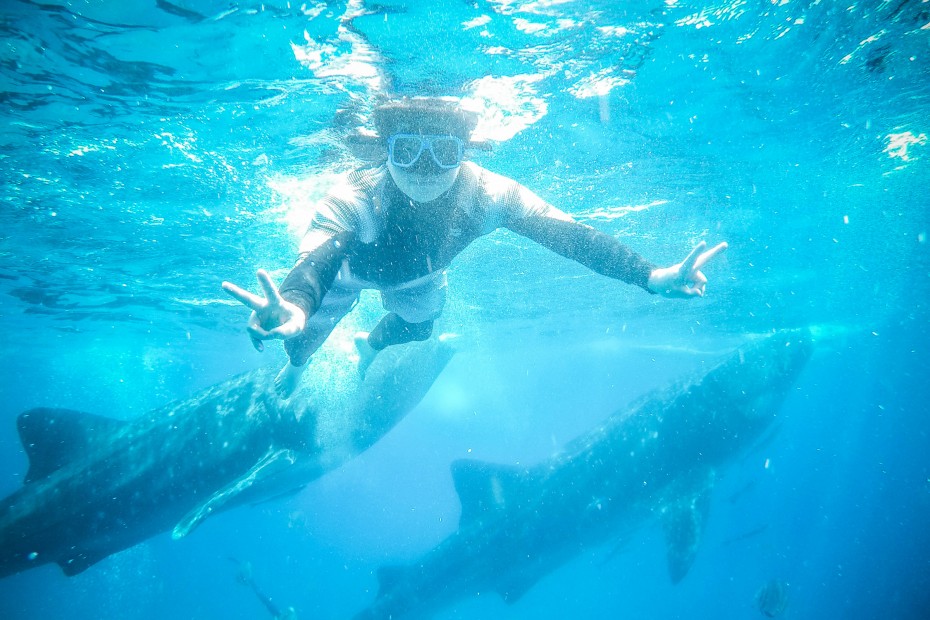 8370f699882d6a9f9486fb898fe229b4_1557285