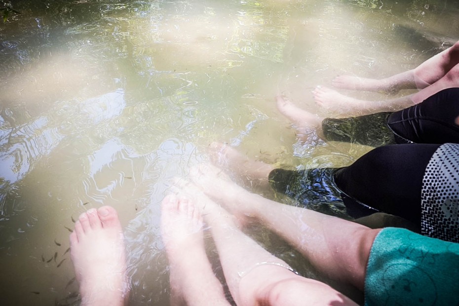 8370f699882d6a9f9486fb898fe229b4_1557285