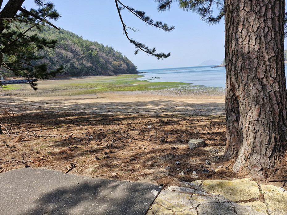 353901bb96d90608e6de153dcf398c8b_1755668