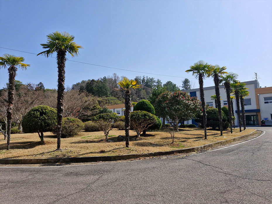 353901bb96d90608e6de153dcf398c8b_1755668