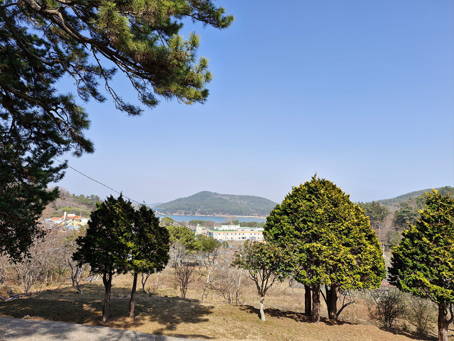 353901bb96d90608e6de153dcf398c8b_1755668