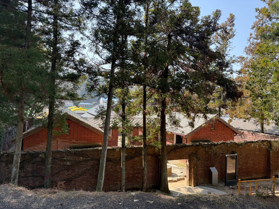 353901bb96d90608e6de153dcf398c8b_1755668